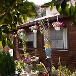 Demeter Rose Stonehouse Pansion
