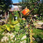 Demeter Rose Stonehouse Pansion * Antalya