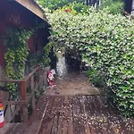 Kwatera prywatna Demeter Rose Stonehouse Pansion *