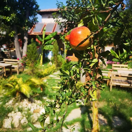 Demeter Rose Stonehouse Pansion * Antalya