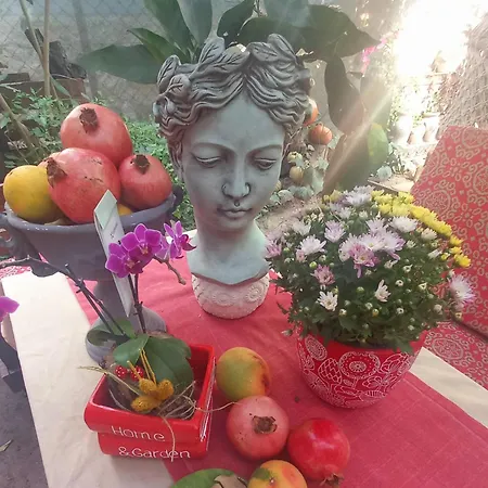 Demeter Rose Stonehouse Pansion Homestay