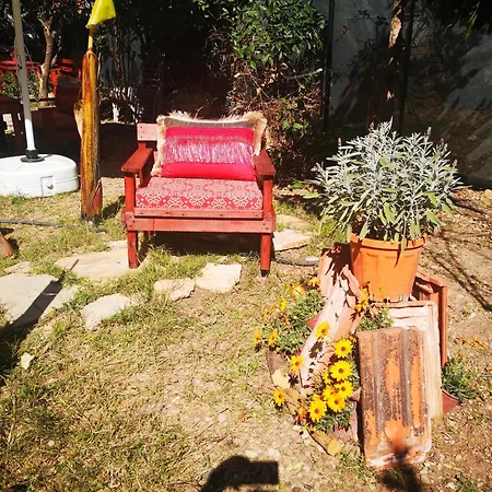 Demeter Rose Stonehouse Pansion *