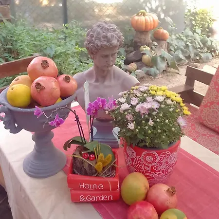 Demeter Rose Stonehouse Pansion Antalya