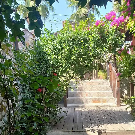 Demeter Rose Stonehouse Pansion * Antalya