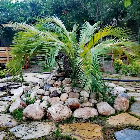 Homestay Demeter Rose Stonehouse Pansion *