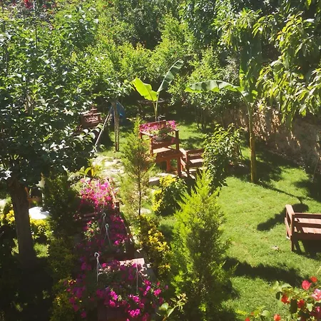 Homestay Demeter Rose Stonehouse Pansion