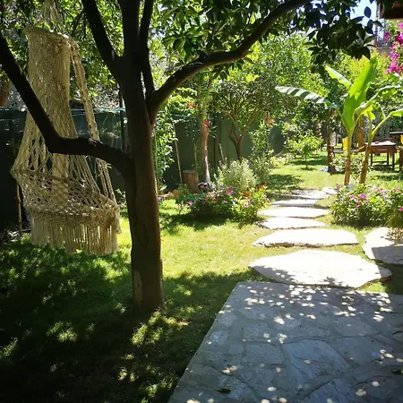 Demeter Rose Stonehouse Pansion Homestay