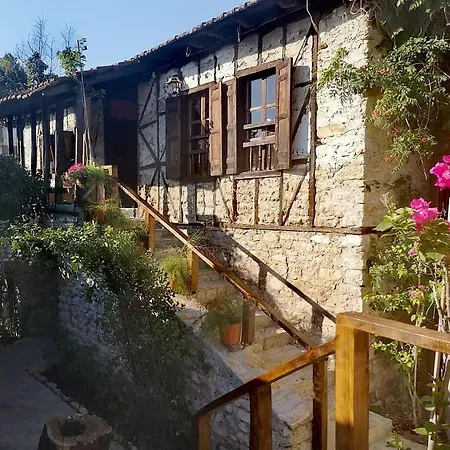 Demeter Rose Stonehouse Pansion Homestay