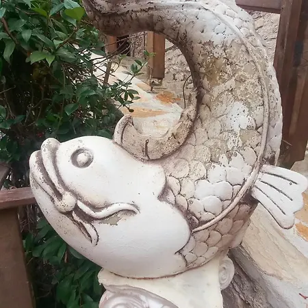 Demeter Rose Stonehouse Pansion *