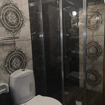 Demeter Rose Stonehouse Pansion