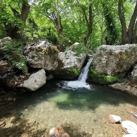 Demeter Rose Stonehouse Pansion