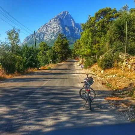 Pansiyon Demeter Rose Stonehouse Pansion *