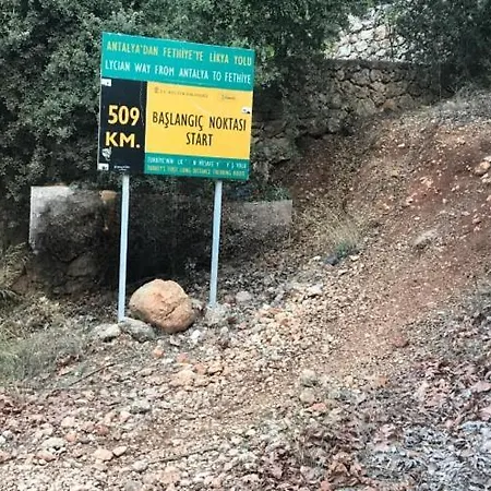 Demeter Rose Stonehouse Pansion