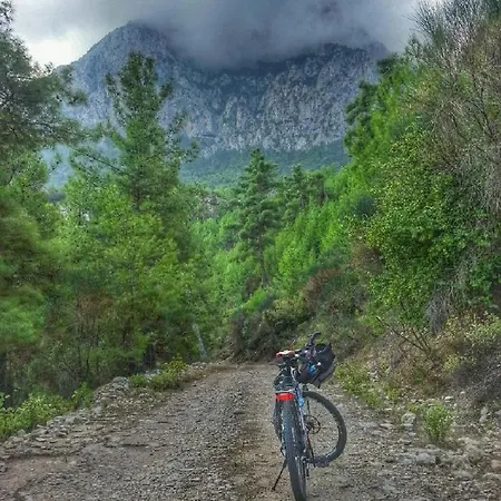 Pansiyon Demeter Rose Stonehouse Pansion