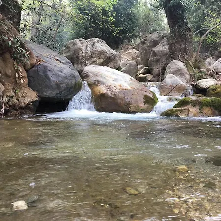 Demeter Rose Stonehouse Pansion Pansiyon