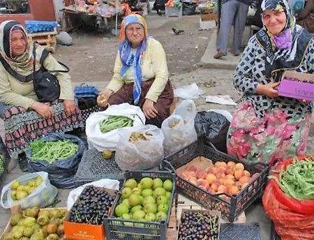 Demeter Rose Stonehouse Pansion Pansiyon *