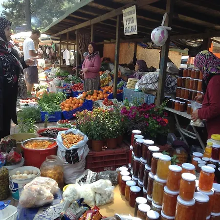 Homestay Demeter Rose Stonehouse Pansion Antalya