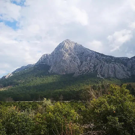 Demeter Rose Stonehouse Pansion * Antalya