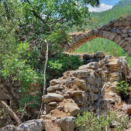 Pansiyon Demeter Rose Stonehouse Pansion