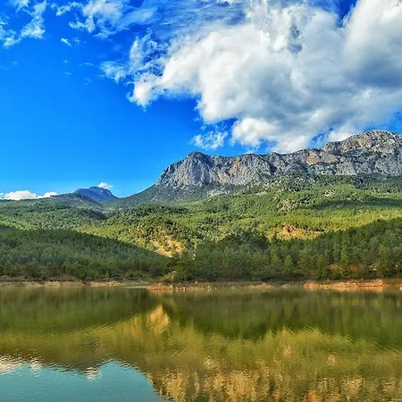 Demeter Rose Stonehouse Pansion Antalya