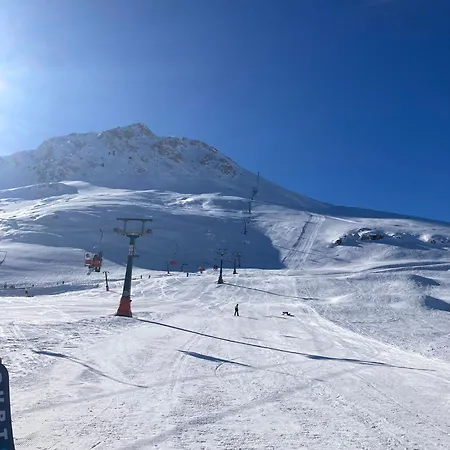 Demeter Rose Stonehouse Pansion