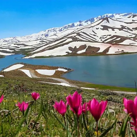 Pansiyon Demeter Rose Stonehouse Pansion Antalya