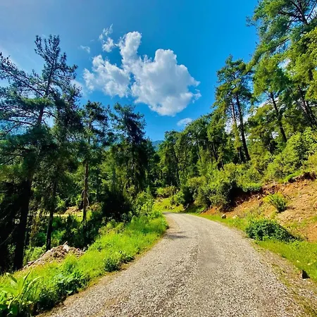 Demeter Rose Stonehouse Pansion Homestay