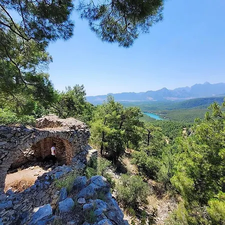 Demeter Rose Stonehouse Pansion Homestay