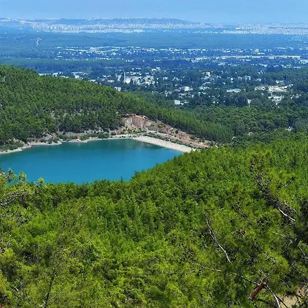 Demeter Rose Stonehouse Pansion Homestay *