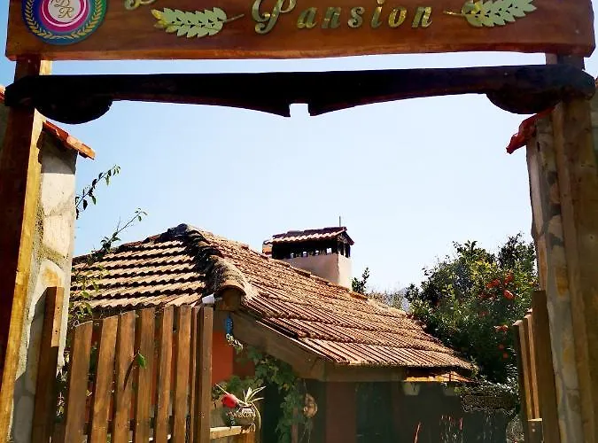 Demeter Rose Stonehouse Pansion