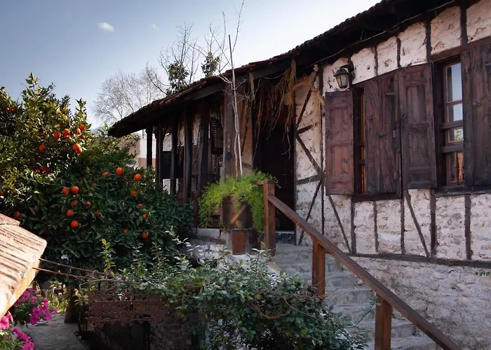 Demeter Rose Stonehouse Pansion