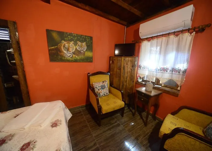 Demeter Rose Stonehouse Pansion *