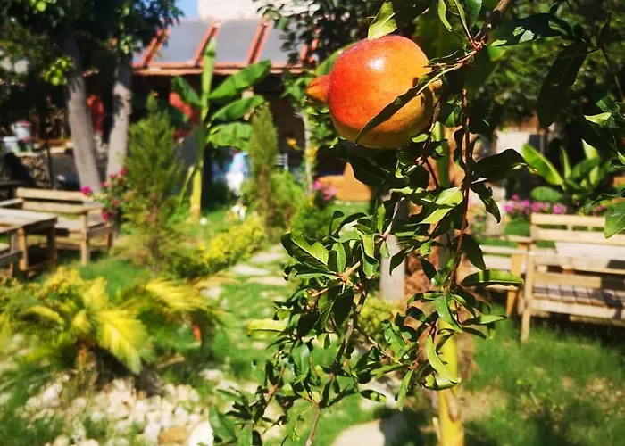 Demeter Rose Stonehouse Pansion * Antalya