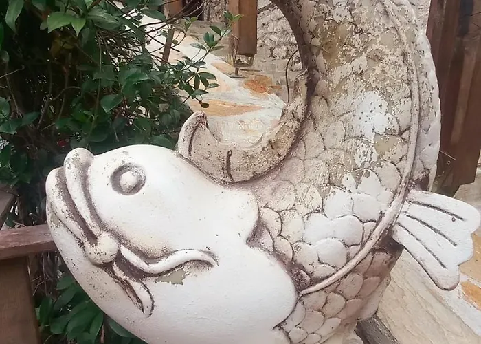 Demeter Rose Stonehouse Pansion *