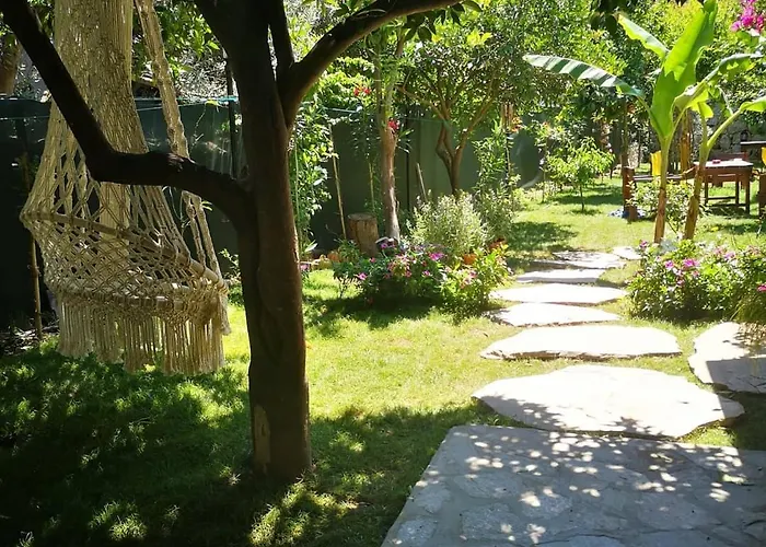 Demeter Rose Stonehouse Pansion Habitación en casa particular