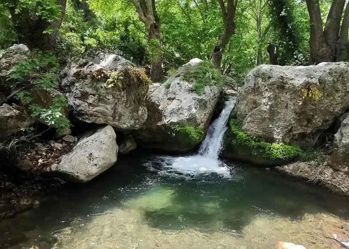 Demeter Rose Stonehouse Pansion