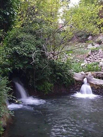 Demeter Rose Stonehouse Pansion