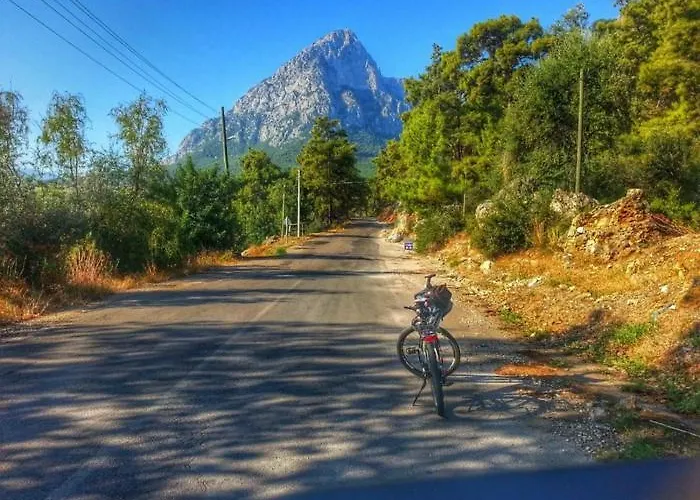 Habitación en casa particular Demeter Rose Stonehouse Pansion *