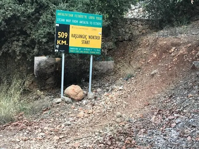 Demeter Rose Stonehouse Pansion