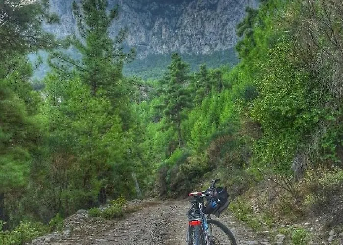 Habitación en casa particular Demeter Rose Stonehouse Pansion