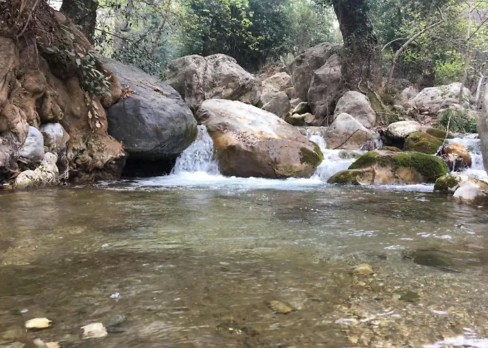 Demeter Rose Stonehouse Pansion Habitación en casa particular