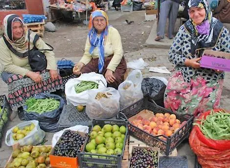 Demeter Rose Stonehouse Pansion Habitación en casa particular *