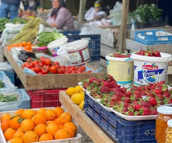 Demeter Rose Stonehouse Pansion Habitación en casa particular Antalya