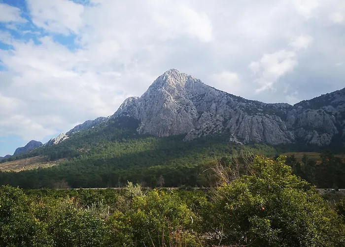 Demeter Rose Stonehouse Pansion * Antalya