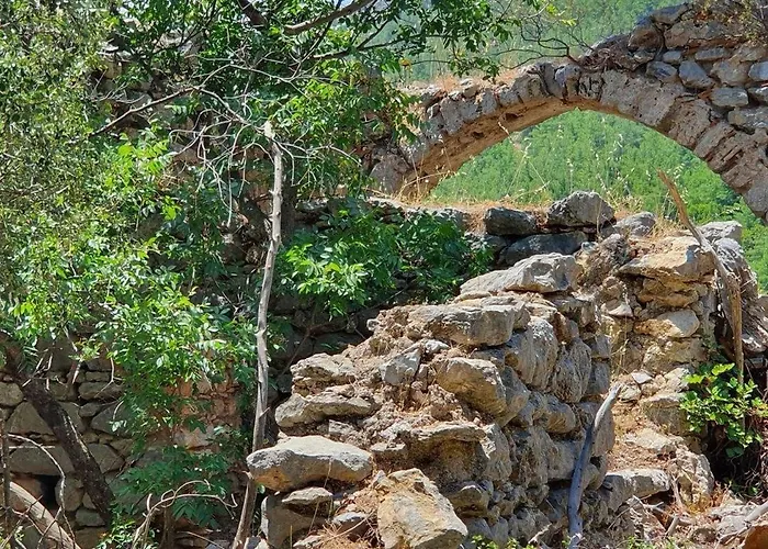 Habitación en casa particular Demeter Rose Stonehouse Pansion