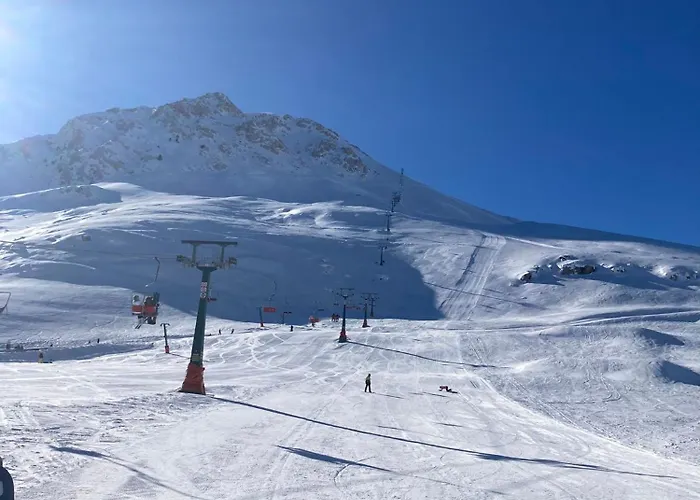 Demeter Rose Stonehouse Pansion