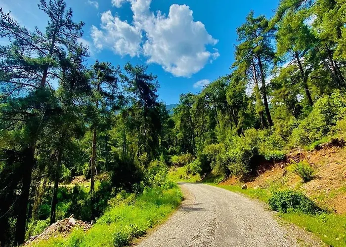 Demeter Rose Stonehouse Pansion Habitación en casa particular