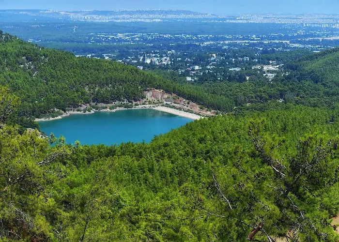 Demeter Rose Stonehouse Pansion Habitación en casa particular *